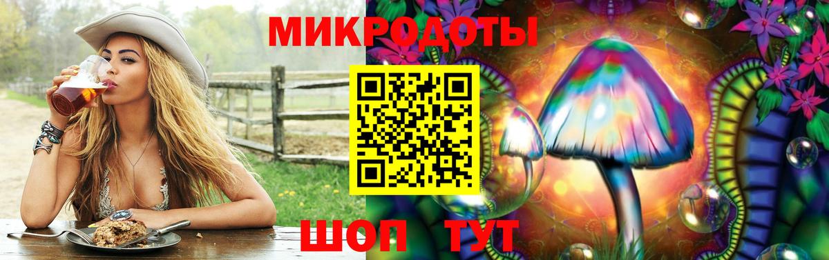 Псилоцибиновые грибы Psilocybe Жигулёвск